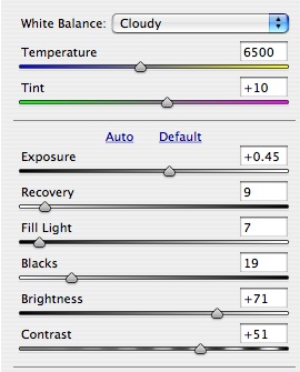 Color RAW Settings