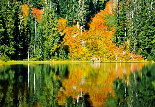 Fall Color on Lake Elizabeth #3