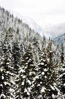 Stevens Pass, Cloudy Day, Orton
