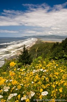 View From Cape Lookout, Flower Blanket