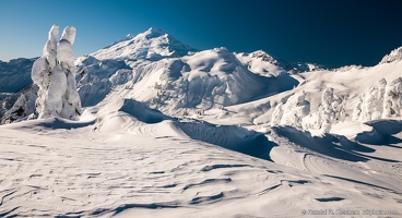 Mount Baker, Snow Field
