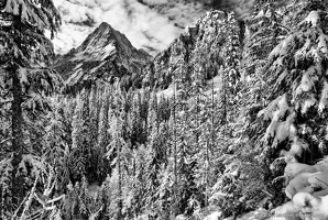 Sperry Peak, Fresh Snow, Black and White
