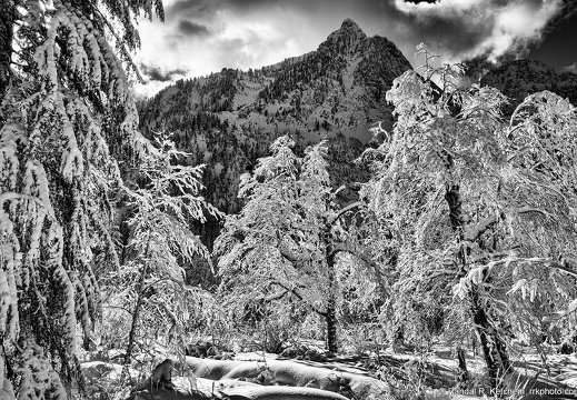 Big Four Mountain, Setting Sun, Snow Covered Grove