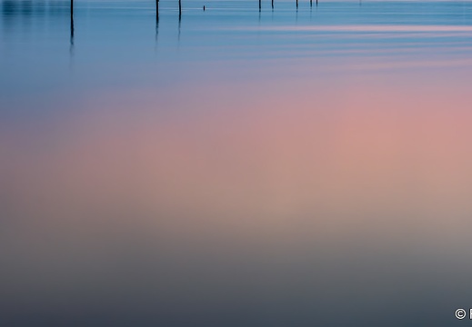 Pylons Along the Sunset, Distant Shore