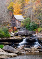 Glade Creek Grist Mill, Surrounding Trees