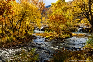 Sandstone Falls, Along the Boardwalk