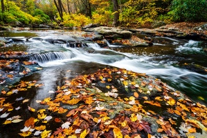 Dunloup Creek, Fall Leaves