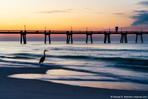Heron at Sunrise, Okaloosa Island Pier, Braving the Waves