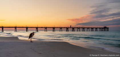 Heron at Sunrise, Evaluating, Okaloosa Island Pier